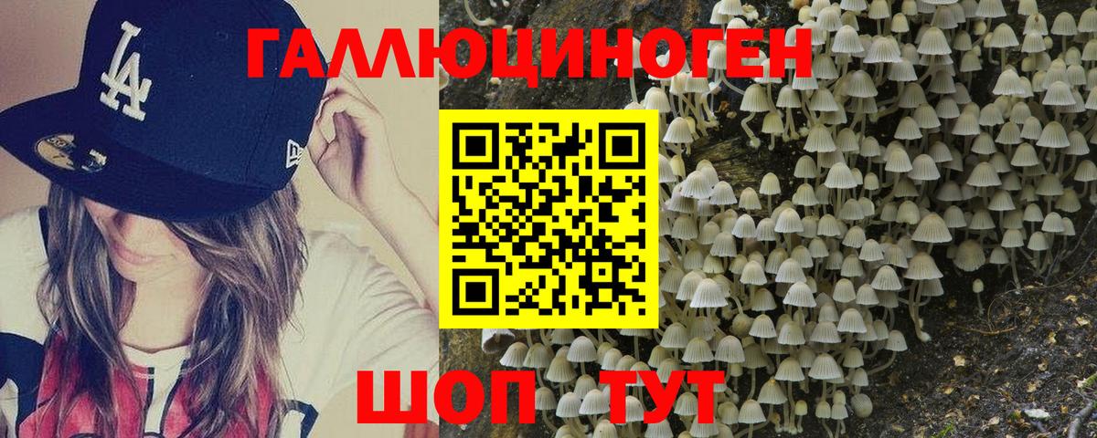 Алексин  Галлюциногенные грибы Psilocybine cubensis  Галлюциногенные грибы Psilocybe  Вход с VPN 