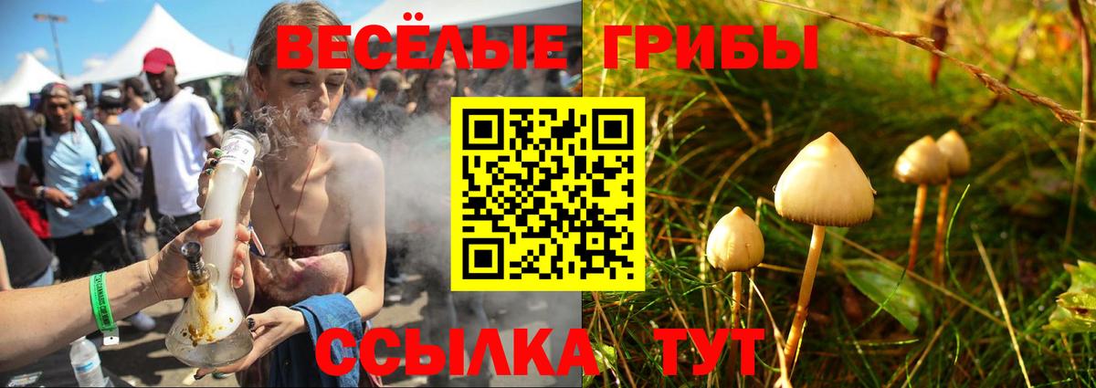 Псилоцибиновые грибы GOLDEN TEACHER Алексин